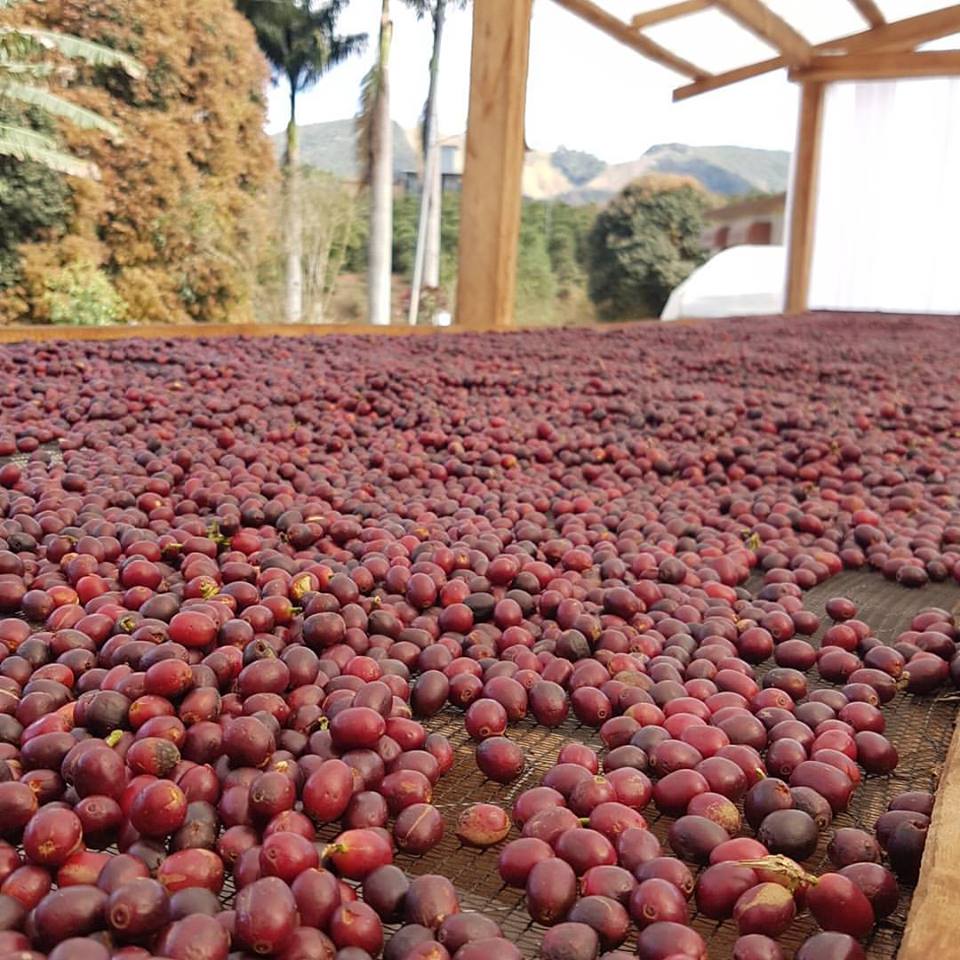 William & Sons Coffee