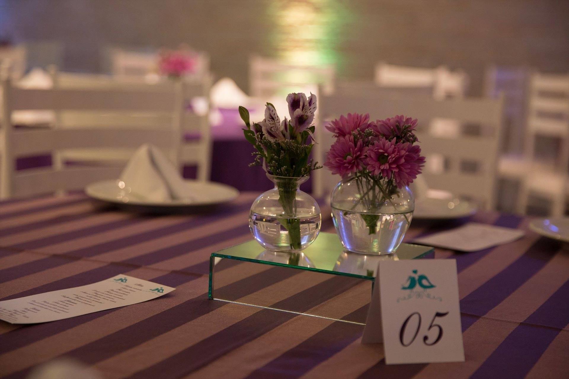 Marinez Roque Arte em Eventos