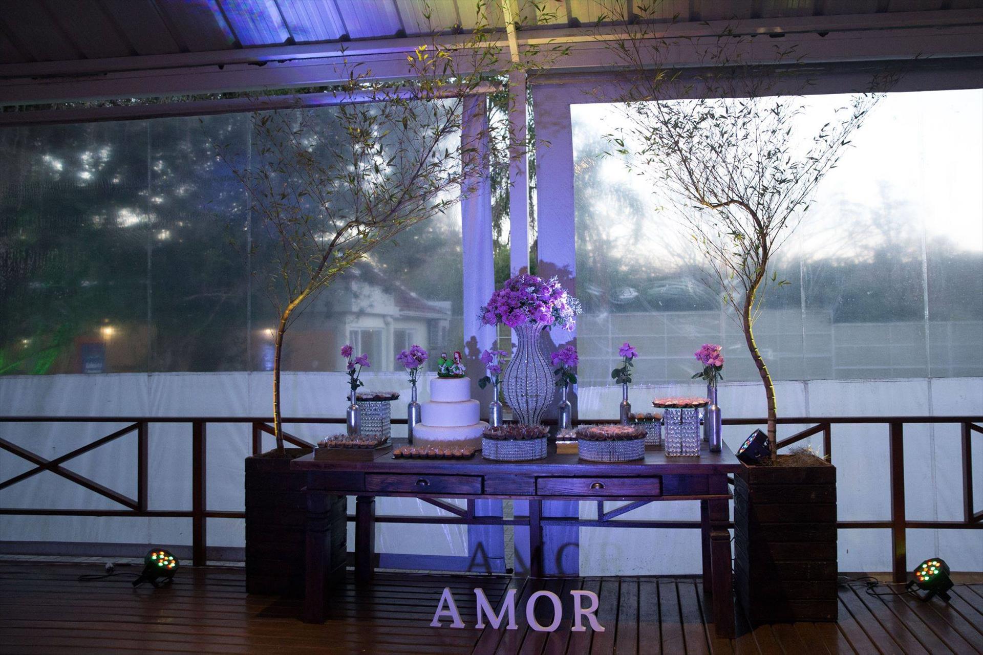 Marinez Roque Arte em Eventos
